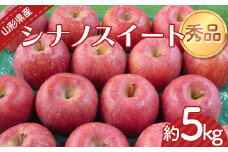 【令和6年産先行予約】 りんご 「シナノスイート」 約5kg （12～20玉 秀品） 《令和6年10月上旬～発送》 『カネタ髙橋青果』 リンゴ 山形県 南陽市 [2183]