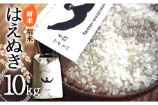 【令和7年産 新米 先行予約】 はえぬき (精米) 10kg 《令和7年10月上旬～発送》 『最上園』 米 白米 ご飯 農家直送 山形県 南陽市 [1978-R7]