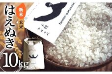 【令和7年産 新米 先行予約】 はえぬき (玄米) 10kg 《令和7年10月上旬～発送》 『最上園』 米 ご飯 農家直送 山形県 南陽市 [2180-R7]