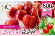 【令和7年産先行予約】 さくらんぼ 「佐藤錦」 約500g (秀 2L以上) バラ詰め 《令和7年6月上旬～発送》 『生産者 佐藤 勇二』 サクランボ 果物 フルーツ 産地直送 生産農家直送 山形県 南陽市 [2234]