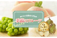【令和7年産先行予約】 《定期便3回》 おいしい山形のくだもの 季節のフルーツ定期便 『NOWAフルーツ』 もも 清水白桃 シャインマスカット ラフランス 山形南陽産 山形県 南陽市 [2063-R7]