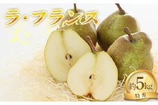 【令和7年産先行予約】 ラ・フランス 約5kg (14～16玉 特秀 3～4L) 《令和7年11月中旬～発送》 『NOWAフルーツ』 ラフランス 西洋梨 洋なし 果物 フルーツ デザート 山形南陽産 山形県 南陽市 [2065-R7]