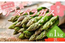【令和7年産先行予約】 アスパラガス (春芽) 約1kg (2Lサイズ  約25～30本前後) 《令和7年5月～発送》 『生産者 紺野 幸陽』 グリーン 山形南陽産 農家直送 山形県 南陽市 [2242]