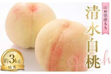 【令和7年産先行予約】 もも「清水白桃」 約3kg (8～10玉 特秀) 《令和7年8月中旬～発送》 『NOWAフルーツ』 モモ 果物 フルーツ デザート 山形南陽産 山形県 南陽市 [2246]