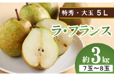 【令和6年産先行予約】 大玉ラ・フランス 約3kg (7～8玉 特秀 5L) 《令和6年10月中旬～発送》 『生産者 沼澤 裕太』 ラフランス 西洋梨 洋なし 果物 フルーツ デザート 山形南陽産 山形県 南陽市 [2249]