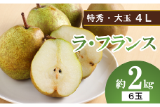 【令和6年産先行予約】 大玉ラ・フランス 約2kg (6玉 特秀 4L) 《令和6年10月中旬～発送》 『生産者 沼澤 裕太』 ラフランス 西洋梨 洋なし 果物 フルーツ デザート 山形南陽産 山形県 南陽市 [2250]