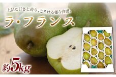 【令和7年産先行予約】 山形県産 ラ・フランス 約5kg詰め (12～16玉) 《令和7年11月中旬～12月中旬発送》 『最上屋』 洋梨 フルーツ 果物 山形県 南陽市 [1687-R7]