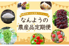 《定期便5回》 南陽市商工会女性部プロデュース 【なんようの農産品 定期便】 山形県 南陽市 [2266]