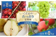 【令和7年産先行予約】 《定期便3回》 くだもの”たっぷり”定期便 『南陽中央青果市場』 山形県 南陽市 [1970-R7]