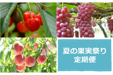 【令和7年産先行予約】 《定期便3回》 夏の果実祭り 『フードシステムズ』 山形県 南陽市 [2260-R7]