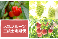【令和7年産先行予約】 《定期便3回》 人気フルーツ三銃士定期便 『フードシステムズ』 山形県 南陽市 [2261-R7]