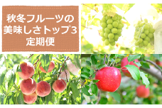 【令和7年産先行予約】 《定期便3回》 秋冬フルーツの美味しさトップ3定期便 『フードシステムズ』 山形県 南陽市 [2263-R7]