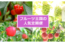 【令和7年産先行予約】 《定期便5回》 フルーツ王国の人気便 『フードシステムズ』 山形県 南陽市 [2264-R7]