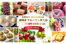 《定期便12回》 南陽産フルーツ＆加工品 1年満喫定期便 『漆山果樹園』 山形県 南陽市 [1180-R7]