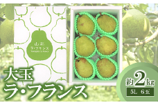 【令和6年産先行予約】 大玉 ラ・フランス 約2kg (6玉 特秀 5L) 《令和6年11月頃～発送》 『生産者 鈴木 喜代美』 ラフランス 西洋梨 洋なし 果物 フルーツ デザート 山形県 南陽市 [2273]