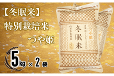 【冬眠米(賞味期限一年)】 特別栽培米 つや姫 (精米) 10kg (5kg×2袋) 『百姓屋 くらた』 山形南陽産 米 白米 ご飯 農家直送 長期保存 災害 備蓄 山形県 南陽市 [2276]