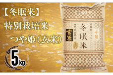 【冬眠米(賞味期限一年)】 特別栽培米 つや姫 (玄米) 5kg 『百姓屋 くらた』 山形南陽産 米 ご飯 農家直送 長期保存 災害 備蓄 山形県 南陽市 [2277]