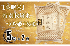 【冬眠米(賞味期限一年)】 特別栽培米 つや姫 (玄米) 10kg (5kg×2袋) 『百姓屋 くらた』 山形南陽産 米 ご飯 農家直送 長期保存 災害 備蓄 山形県 南陽市 [2278]