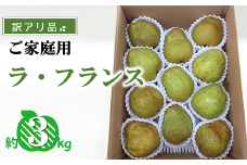 【令和6年産先行予約】 〈訳あり品 家庭用〉 ラ・フランス 約3kg (9～13玉) 《令和6年11月中旬～発送》 『カネタ髙橋青果』 ラフランス 果物 フルーツ デザート 山形県 南陽市 [2274]