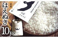 はえぬき (玄米) 10kg 『最上園』 米 ご飯 農家直送 山形県 南陽市 [2180]