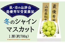 【令和7年産先行予約】【最優秀賞W受賞農家】 冬のシャインマスカット 約700g (1房 秀) 《令和7年12月上旬～発送》『生産者 佐藤 大輔』 マスカット ぶどう 種なし 果物 フルーツ デザート 山形県 南陽市 [2237]
