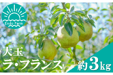 【令和7年産先行予約】 【ネオニコフリー】 大玉 ラ・フランス 約3kg (8～9玉 特秀 4～5L) 《令和7年11月上旬～発送》 『遠藤果樹農園』 厳選 こだわり ラフランス 西洋梨 洋なし 果物 フルーツ デザート 山形県 南陽市 [1060-R7]
