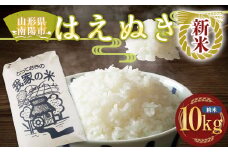 【令和7年産 新米 先行予約】 はえぬき (精米) 10kg 《令和7年10月上旬～発送》 『田口農園』 山形南陽産 米 白米 ご飯 農家直送 山形県 南陽市 [1123-R7]