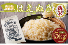 【令和7年産 新米 先行予約】 はえぬき (玄米) 5kg 《令和7年10月上旬～発送》 『田口農園』 山形南陽産 米 ご飯 農家直送 山形県 南陽市 [1289-R7]