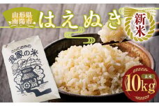 【令和7年産 新米 先行予約】 はえぬき (玄米) 10kg 《令和7年10月上旬～発送》 『田口農園』 山形南陽産 米 ご飯 農家直送 山形県 南陽市 [1290-R7]