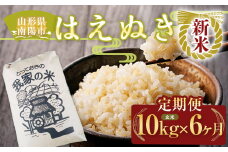 【令和7年産 新米 先行予約】 《定期便6回》 はえぬき (玄米) 10kg×6か月 《令和7年10月上旬～発送》 『田口農園』 山形南陽産 米 ご飯 農家直送 山形県 南陽市 [1923-R7]