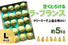 【令和7年産先行予約】 ラ・フランス 約5kg  (19玉 Lサイズ) 《令和7年11月上旬～発送》 『田口農園』 ラフランス 西洋梨 洋なし 果物 フルーツ デザート 山形県 南陽市 [1295-R7]