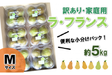 【令和7年産先行予約】〈訳あり品 家庭用〉 ラ・フランス 約5kg (4玉×6パック Mサイズ) 《令和7年11月上旬～発送》 『田口農園』 ラフランス 西洋梨 洋なし 果物 フルーツ デザート 山形県 南陽市 [1294-R7]