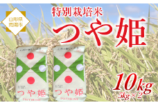特別栽培米 つや姫 10kg 『松田観光果樹園』 山形南陽産 米 白米 ご飯 農家直送 山形県 南陽市 [2289]