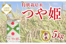 【令和7年産 新米 先行予約】 特別栽培米 つや姫 5kg 《令和7年10月中旬～発送》 『松田観光果樹園』 山形南陽産 米 白米 ご飯 農家直送 山形県 南陽市 [2288-R7]