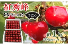 【令和7年産先行予約】 さくらんぼ 「紅秀峰」 約1kg (約500g×2パック 秀 2L以上)  手詰め 《令和7年6月下旬～発送》 『マルタニ農園』 小分け サクランボ 果物 フルーツ 産地直送 生産農家直送 山形県 南陽市 [2385]