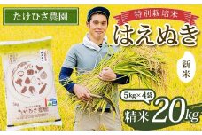 【令和7年産 新米 先行予約】 特別栽培米 はえぬき (精米) 20kg (5kg×4袋) 《令和7年9月下旬～発送》 『たけひさ農園』 山形南陽産 米 白米 ご飯 農家直送 山形県 南陽市 [2374-R7]