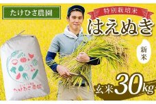 【令和7年産 新米 先行予約】 特別栽培米 はえぬき (玄米) 30kg 《令和7年9月下旬～発送》 『たけひさ農園』 山形南陽産 米 ご飯 農家直送 山形県 南陽市 [2375-R7]