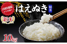 【令和7年産 新米 先行予約】 はえぬき (精米) 10kg 《令和7年9月下旬～発送》 『マルタニ農園』 山形南陽産 米 白米 ご飯 農家直送 山形県 南陽市 [2390-R7]