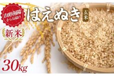 【令和7年産 新米 先行予約】 はえぬき (玄米) 30kg 《令和7年9月下旬～発送》 『マルタニ農園』 山形南陽産 米 ご飯 農家直送 山形県 南陽市 [2392-R7]