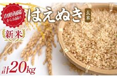 【令和7年産 新米 先行予約】 はえぬき (玄米) 20kg (10kg×2袋) 《令和7年9月下旬～発送》 『マルタニ農園』 山形南陽産 米 ご飯 農家直送 山形県 南陽市 [2391-R7]