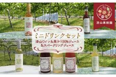 漆山果樹園ミニドリンクセット 「漆山ワイン ＆ 果汁100%ジュース & スパークリングジュース」 計7本 『漆山果樹園』 山形県 南陽市 [2354]