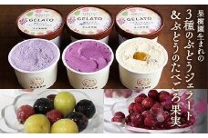 果樹園生まれの 「3種のぶどうジェラート ＆ ぶどうのたべごろ果実 (冷凍フルーツ)」セット 『漆山果樹園』 シャインマスカット ハニーブラック 藤稔 ぶどうミックス デラウェア フルーツ 果物 冷凍 デザート 山形県 南陽市 [2353]