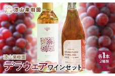 果樹園生まれの 漆山果樹園デラウェアワイン 「漆山ワイン (デラウェア) +  漆山スパークリングワイン (デラウェア)」 2種 各750ml 計2本セット 『漆山果樹園』 山形県 南陽市 [1524]