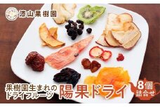 果樹園生まれの ドライフルーツ 「陽果ドライ」 おまかせ8個詰合せ 『漆山果樹園』 山形県 南陽市 [3031]
