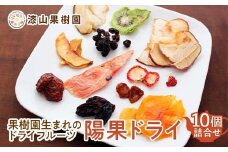 果樹園生まれの ドライフルーツ 「陽果ドライ」 10個詰合せ (枝付き干しぶどう入り) 『漆山果樹園』 デラウェア シャインマスカット 山形県 南陽市 [2419]