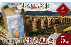【令和7年産 新米 先行予約】 【わら屋のお米】 特別栽培米 はえぬき 5kg 《令和7年10月下旬～発送》 『おがわ藁農園』 米 白米 精米 ご飯 農家直送 山形県 南陽市  [2067-R7]