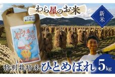 【令和7年産 新米 先行予約】 【わら屋のお米】 特別栽培米 ひとめぼれ 5kg 《令和7年10月下旬～発送》 『おがわ藁農園』 米 白米 精米 ご飯 農家直送 山形県 南陽市  [2070-R7]