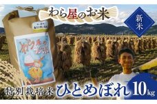 【令和7年産 新米 先行予約】 【わら屋のお米】 特別栽培米 ひとめぼれ 10kg 《令和7年10月下旬～発送》 『おがわ藁農園』 米 白米 精米 ご飯 農家直送 山形県 南陽市  [2071-R7]