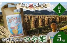 【令和7年産 新米 先行予約】 【わら屋のお米】 特別栽培米 つや姫 5kg 《令和7年10月下旬～発送》 『おがわ藁農園』 米 白米 精米 ご飯 農家直送 山形県 南陽市  [2167-R7]