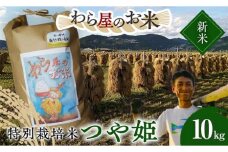 【令和7年産 新米 先行予約】 【わら屋のお米】 特別栽培米 つや姫 10kg 《令和7年10月下旬～発送》 『おがわ藁農園』 米 白米 精米 ご飯 農家直送 山形県 南陽市  [2168-R7]